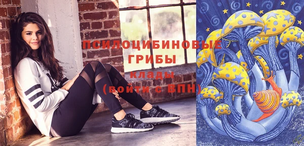 mix Белокуриха