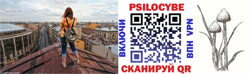 Галлюциногенные грибы Magic Shrooms  hydra как войти  Верхняя Пышма 