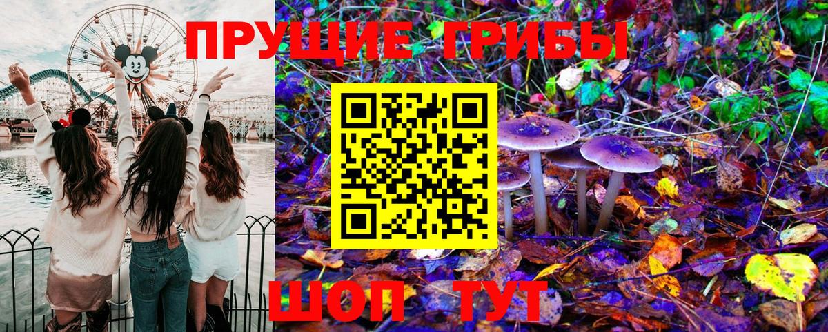 Верхняя Пышма  Псилоцибиновые грибы Magic Shrooms  Вход с VPN 